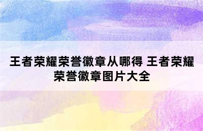 王者荣耀荣誉徽章从哪得 王者荣耀荣誉徽章图片大全